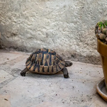 Σπίτι διακοπών La Maison De Famille *